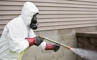 Борьба с грызунами будет проводиться в два сезона в Астане