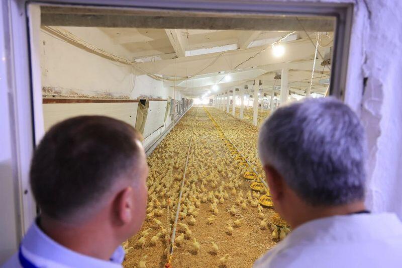 В Бухар-Жырауском районе наращивают производство молочной продукции