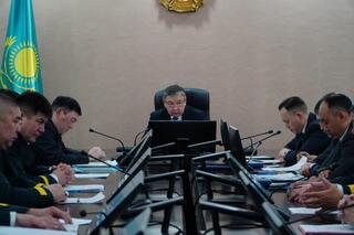 Лесной фонд Акмолинской области: итоги и новые задачи