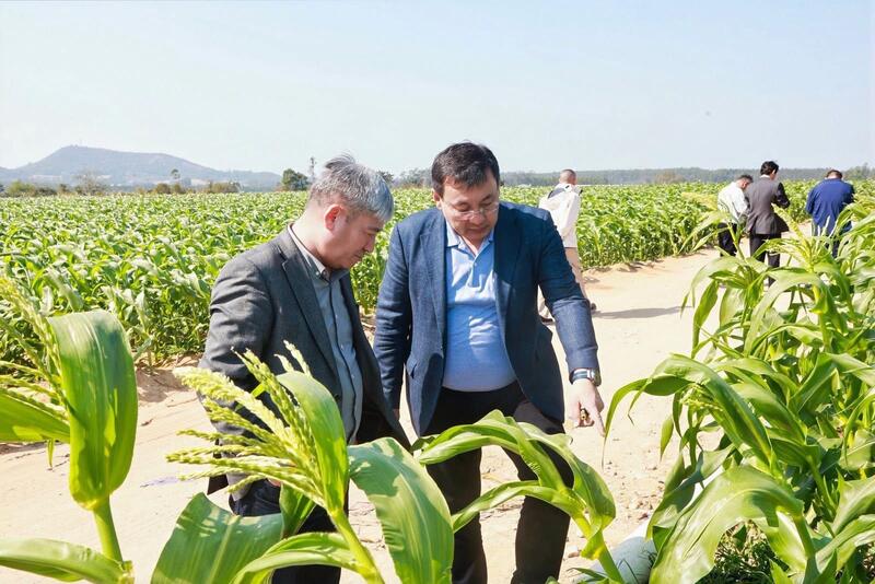 Кызылординская область расширяет сотрудничество с Китаем в агропромышленной сфере