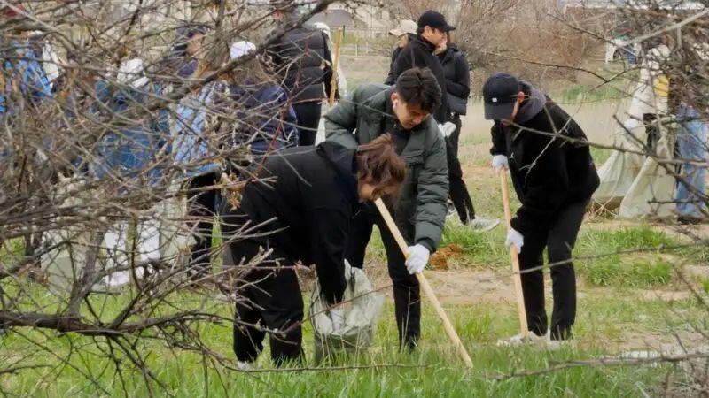 Масштабный общегородской субботник стартовал в Астане