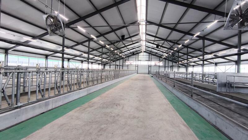 В Костанайской области запустили молочно-товарную ферму на 1200 голов