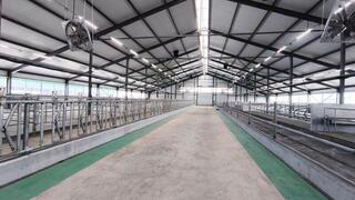 В Костанайской области запустили молочно-товарную ферму на 1200 голов