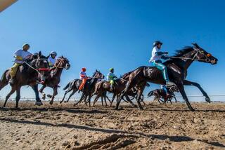 «Алтын күз – 2025»: В Кызылорде прошла республиканская байга
