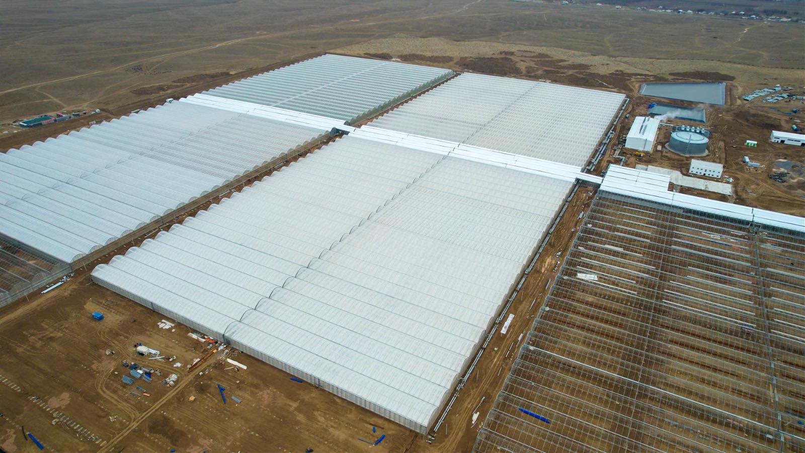 В ТУРКЕСТАНСКОЙ ОБЛАСТИ ЗАПУСТЯТ КРУПНЕЙШИЙ В СТРАНЕ ПРОМЫШЛЕННЫЙ ТЕПЛИЧНЫЙ КОМПЛЕКС