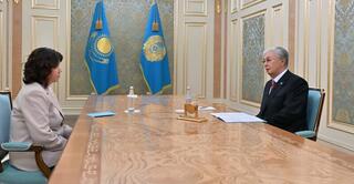 Глава государства принял министра просвещения Жулдыз Сулейменову