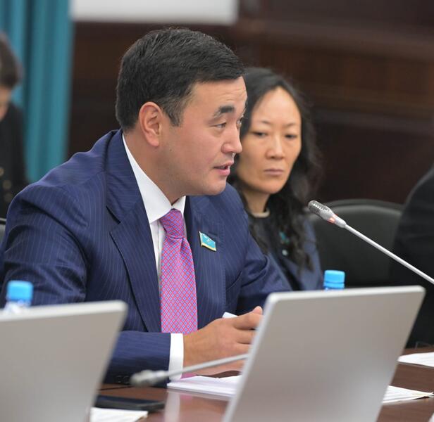 Сегодня в Павлодаре прошло выездное заседание Комитета по вопросам экологии и природопользования Мажилиса Парламента РК, посвящённое вопросам экологической безопасности региона