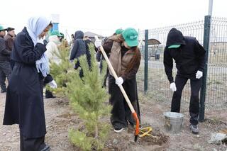 37 экологических инициатив запланированы в Акмолинской области на 2026 год