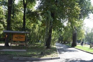 Акимат Алматы продолжает развитие общественных пространств: стартует благоустройство рощи Баума