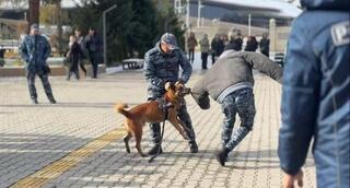 Полицейская собака покорила студентов в области Жетісу