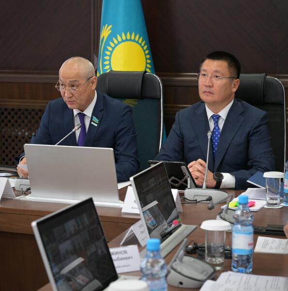 Сегодня в Павлодаре прошло выездное заседание Комитета по вопросам экологии и природопользования Мажилиса Парламента РК, посвящённое вопросам экологической безопасности региона