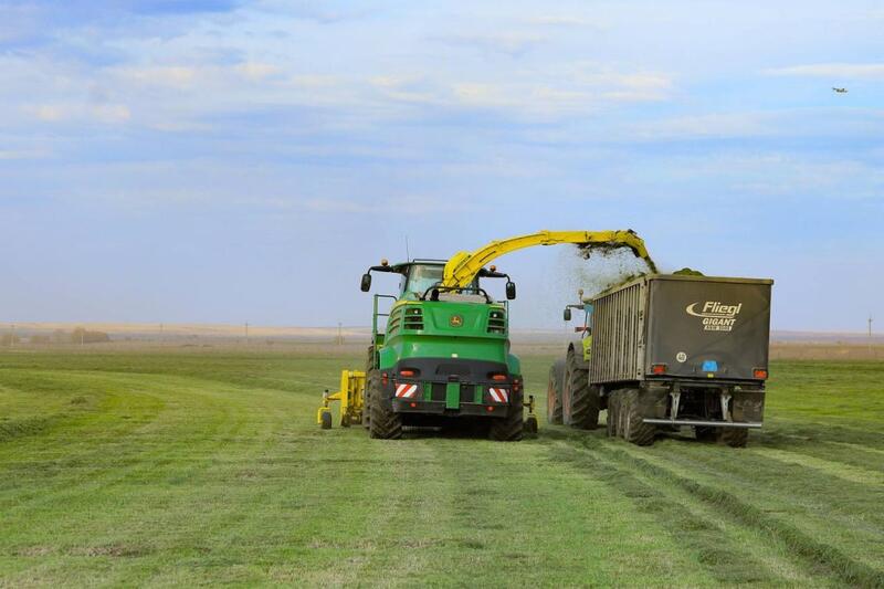 В Актюбинской области стартовала уборочная кампания