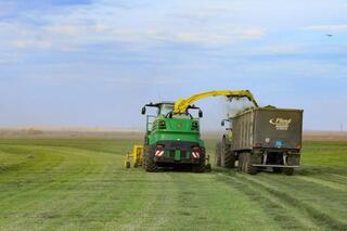 В Актюбинской области стартовала уборочная кампания