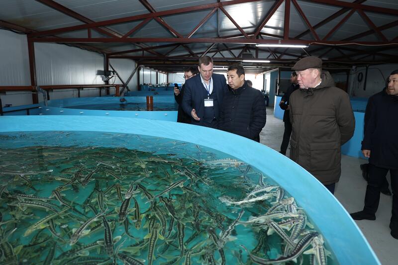 Рабочий визит Министра сельского хозяйства в Костанайскую область