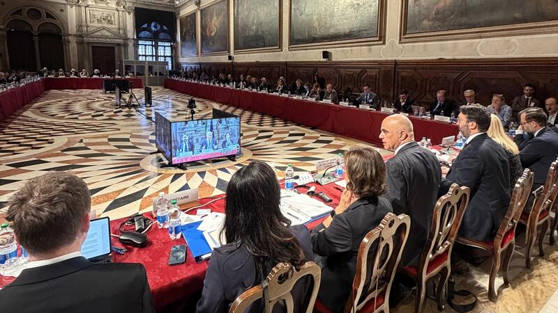 Венецианская комиссия обсудила законодательные инициативы более шести стран