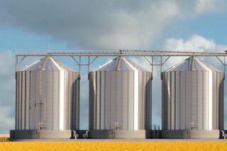 Продкорпорация готова обеспечить потребности мукомолов в зерне по рыночной стоимости