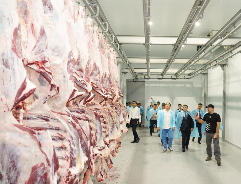 В ТУРКЕСТАНСКОЙ ОБЛАСТИ ЗАПУЩЕН СОВРЕМЕННЫЙ ОТКОРМОЧНЫЙ КОМПЛЕКС И МЯСОКОМБИНАТ НА 5000 ГОЛОВ