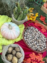 «Зеленый детский сад»: уникальный проект в Астане показал положительные результаты