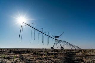 Проект по внедрению системы дождевого орошения реализуется в Жетісу