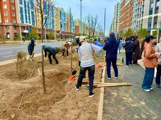 Масштабный общегородской субботник стартовал в Астане