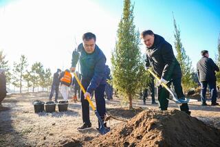 Более 1 млн зеленых насаждений высадят в Астане в текущем году