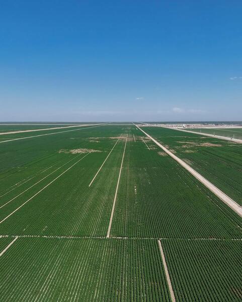 ИТОГИ ГОДА: ТУРКЕСТАНСКАЯ ОБЛАСТЬ СТАЛА ЛИДЕРОМ В РЕСПУБЛИКЕ ПО ОБЪЁМУ СЕЛЬСКОХОЗЯЙСТВЕННОЙ ПРОДУКЦИИ