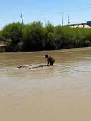 «ТАЗА ҚАЗАҚСТАН»: ВОДОЛАЗЫ ОЧИСТИЛИ ДНИЩА ВОДОЕМОВ ДЛЯ КУПАНИЯ