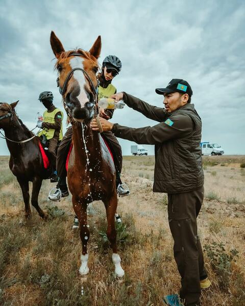 «Ұлы дала жорығы-2025»: победу одержали лошади костанайской породы из Астаны