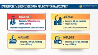Свой полиэтилен и алкилат: какие производства в нефтегазохимии сделают Казахстан независимым от импорта