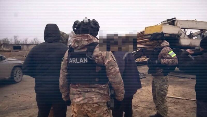 МВД: пресечена схема незаконной вырубки леса в Костанайской области