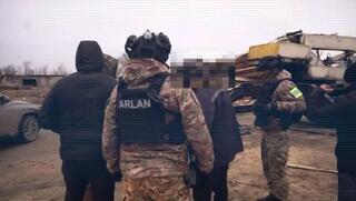 МВД: пресечена схема незаконной вырубки леса в Костанайской области