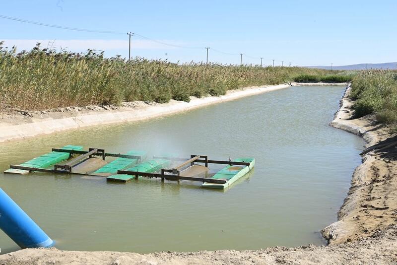 В Шиелийском районе презентовали проекты по выращиванию кукурузы на водосберегающих технологиях
