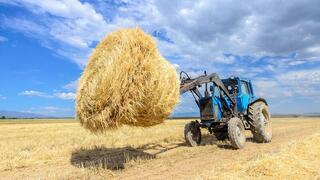 В области Жетісу к зиме заготовили уже свыше 2 млн. тонн кормов, а поголовье сельхозживотных превысило 2,7 млн. голов