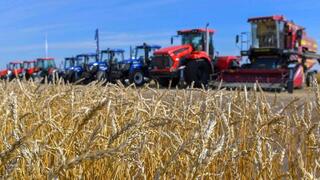 Валовый выпуск продукции сельского хозяйства увеличился на 6,1%