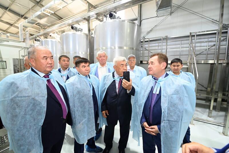 Аралда түйе сүтінен құрғақ ұнтақ шығаратын зауыт іске қосылды
