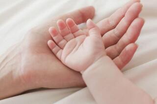 ТУРКЕСТАНСКАЯ ОБЛАСТЬ ЛИДИРУЕТ ПО ПОКАЗАТЕЛЯМ ДЕМОГРАФИЧЕСКОГО РОСТА