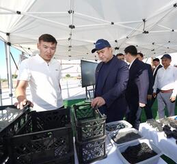 В ТУРКЕСТАНСКОЙ ОБЛАСТИ СТРОИТСЯ СОВРЕМЕННЫЙ ЗАВОД ПО ПЕРЕРАБОТКЕ ПЛАСТИКОВЫХ ОТХОДОВ