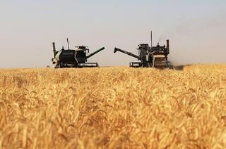 Жамбылская область запускает 20 агропроектов на сумму свыше 300 млрд тенге