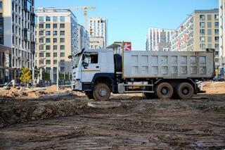 Миллион зеленых насаждений высадят в Астане в текущем году