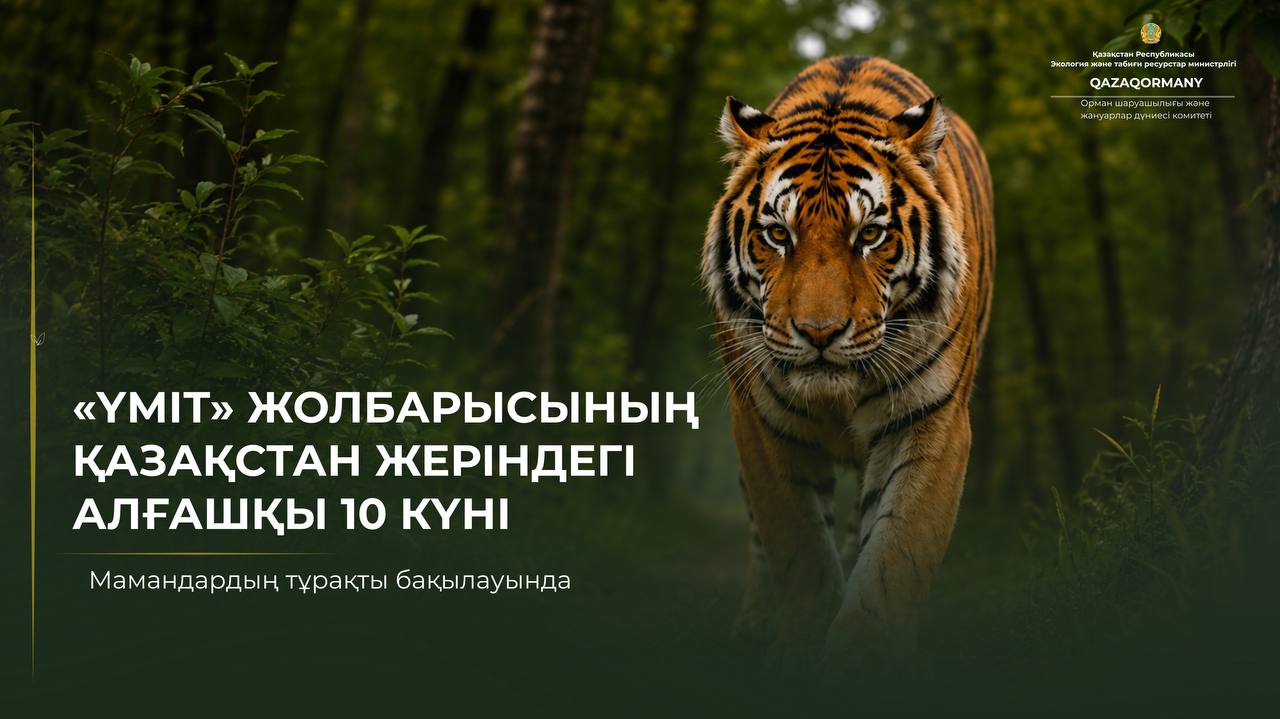 Первые 10 дней Үміт в Казахстане