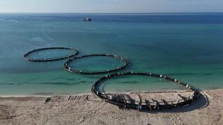 Мангистауская область усиливает работу по привлечению инвесторов и реализации крупных проектов