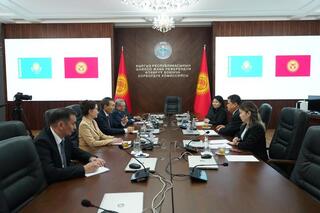 Делегация Казахстана приняла участие в международном наблюдении за парламентскими выборами в Кыргызской Республике