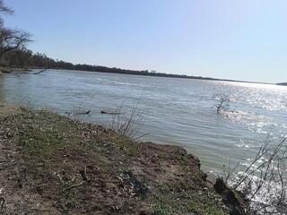 В ТУРКЕСТАНСКОЙ ОБЛАСТИ УСИЛЕН НАУЧНЫЙ МОНИТОРИНГ ПО БОРЬБЕ С КОМАРАМИ