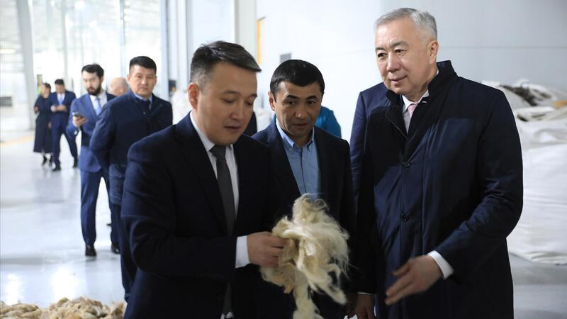 Актюбинская область занимает первое место в Казахстане по площади пастбищных земель