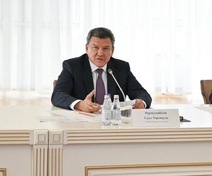 Аким области принял участие в заседании Координационного совета по профилактике семейно-бытового насилия