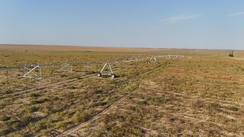 Фермеры Алматинской области переходят на водосберегающие технологии