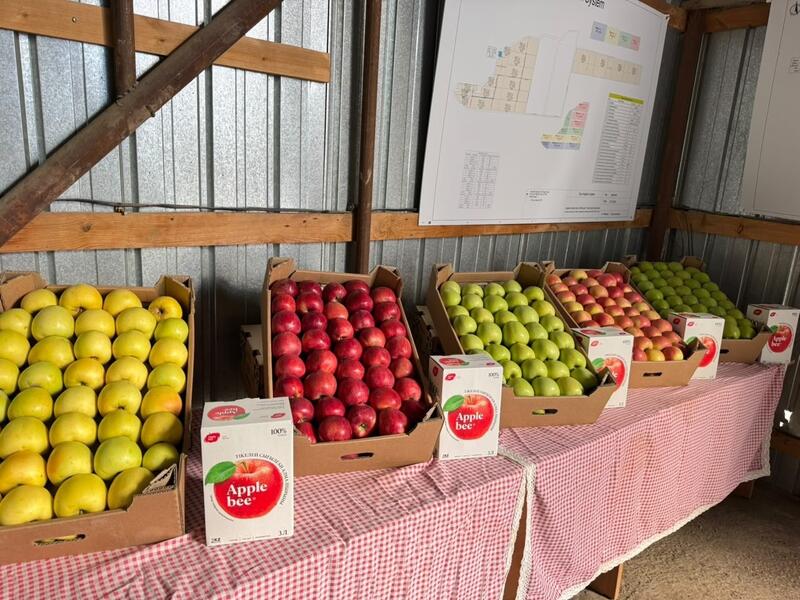 Алматинская область развивает переработку сельхозпродукции и укрепляет экспортный потенциал АПК