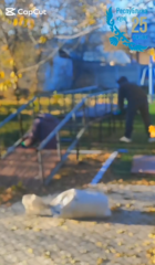 Реставрация отдельных элементов на спортивной площадке для детей с инвалидностью и лиц с инвалидностью