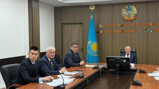 Казахстан и Россия подпишут План совместных мероприятий по борьбе с саранчовыми вредителями