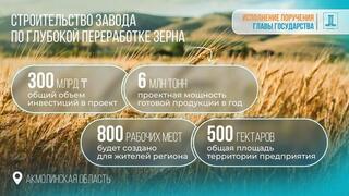 Правительством Казахстана одобрено Соглашение об инвестициях: в Акмолинской области построят завод по глубокой переработке зерна
